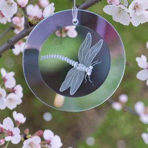 Fensterbild mit "Libelle" rund