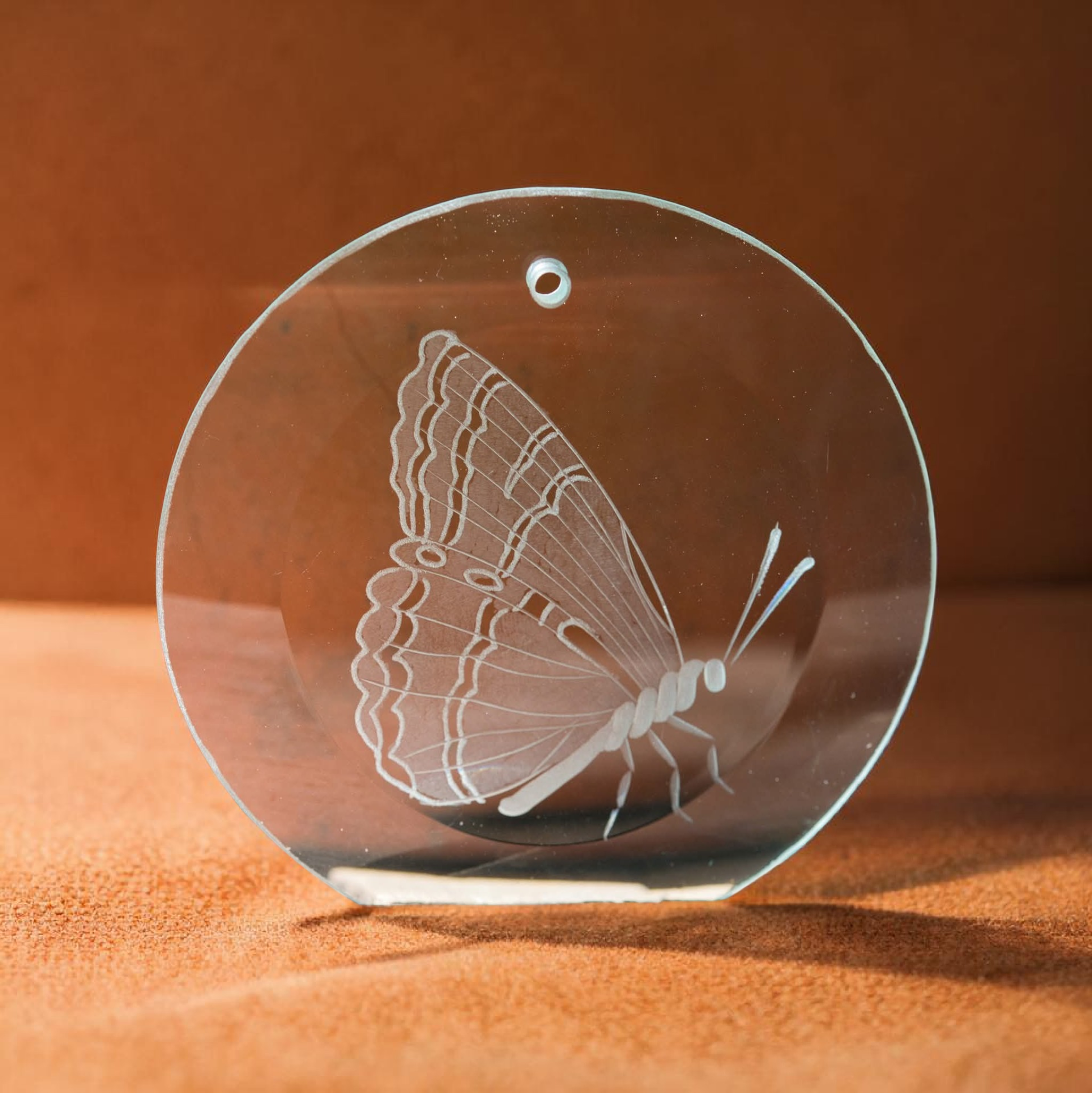 Fensterbild mit "Schmetterling sitzend" rund – Bild 2