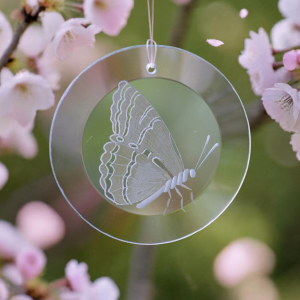 Fensterbild mit "Schmetterling sitzend" rund